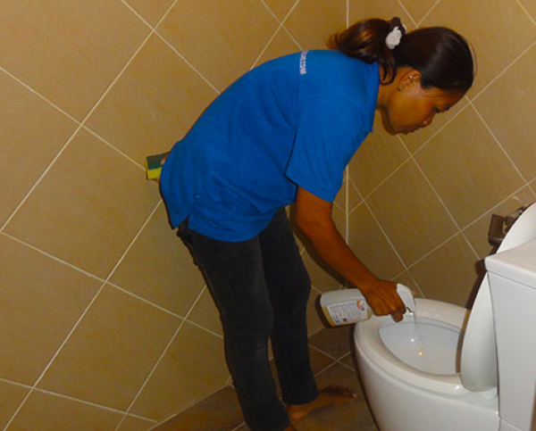Sanitizing Toilet